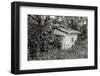 Back to Nature-Colby Chester-Framed Photographic Print