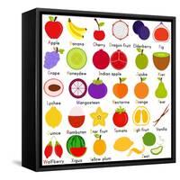 Back to School : A Set of Vector Icons of Fruit Representing Alphabet A to Z - Dictionary for Kids-sassyphotos-Framed Stretched Canvas