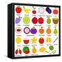 Back to School : A Set of Vector Icons of Fruit Representing Alphabet A to Z - Dictionary for Kids-sassyphotos-Framed Stretched Canvas