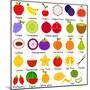 Back to School : A Set of Vector Icons of Fruit Representing Alphabet A to Z - Dictionary for Kids-sassyphotos-Mounted Art Print