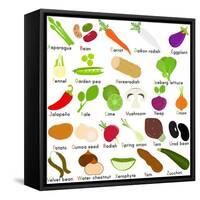 Back to School : A Set of Vector Icons of Vegetable Representing Alphabet A to Z - Dictionary for K-sassyphotos-Framed Stretched Canvas