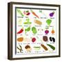 Back to School : A Set of Vector Icons of Vegetable Representing Alphabet A to Z - Dictionary for K-sassyphotos-Framed Art Print