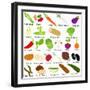 Back to School : A Set of Vector Icons of Vegetable Representing Alphabet A to Z - Dictionary for K-sassyphotos-Framed Art Print