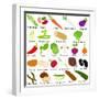 Back to School : A Set of Vector Icons of Vegetable Representing Alphabet A to Z - Dictionary for K-sassyphotos-Framed Art Print