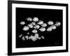 Back to School Xray-Albert Koetsier-Framed Art Print