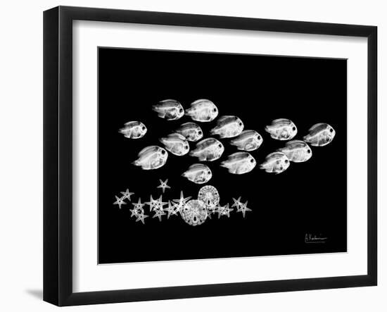 Back to School Xray-Albert Koetsier-Framed Art Print