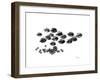 Back to School-Albert Koetsier-Framed Premium Giclee Print