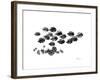 Back to School-Albert Koetsier-Framed Premium Giclee Print