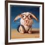 Back to school-Lucia Heffernan-Framed Premium Giclee Print