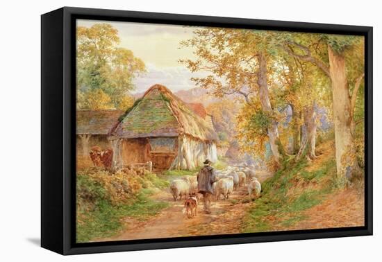 Back to the Fold-Charles James Adams-Framed Stretched Canvas