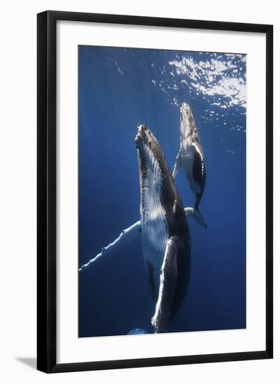 Back To The Surface-Barathieu Gabriel-Framed Giclee Print