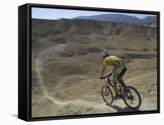 Back View of Competitior Riding Downhill in Mount Sodom International Mountain Bike Race, Israel-Eitan Simanor-Framed Stretched Canvas