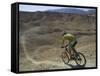 Back View of Competitior Riding Downhill in Mount Sodom International Mountain Bike Race, Israel-Eitan Simanor-Framed Stretched Canvas