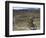 Back View of Competitior Riding Downhill in Mount Sodom International Mountain Bike Race, Israel-Eitan Simanor-Framed Photographic Print