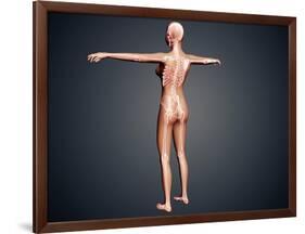 Back View of Female Body with Skeletal System Superimposed-null-Framed Art Print