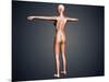 Back View of Female Body with Skeletal System Superimposed-null-Mounted Art Print