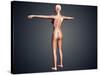 Back View of Female Body with Skeletal System Superimposed-null-Stretched Canvas