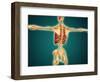 Back View of Human Skeleton with Nervous System, Arteries and Veins-null-Framed Art Print