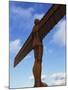 Back View of the Angel of the North Statue, Newcastle Upon Tyne, Tyne and Wear, England, UK-Neale Clarke-Mounted Photographic Print