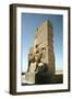 Back View of the Gate of All Nations, Persepolis, Iran-Vivienne Sharp-Framed Photographic Print