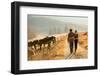 Back View of Young Couple Walking in Farm Road-michaeljung-Framed Photographic Print