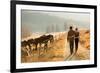 Back View of Young Couple Walking in Farm Road-michaeljung-Framed Photographic Print