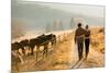Back View of Young Couple Walking in Farm Road-michaeljung-Mounted Photographic Print