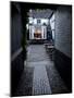 Back Yard of Rose and Crown Pub at Dusk, Gloucester, Gloucestershire, England, United Kingdom-Nick Servian-Mounted Photographic Print