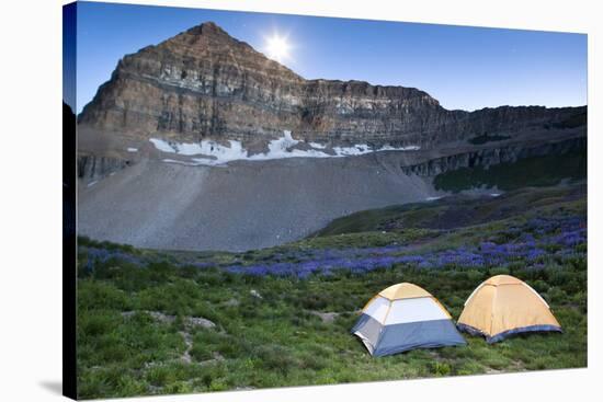 Backcountry Camping under the Stars and Mount Timpanogos, Utah-Lindsay Daniels-Stretched Canvas