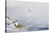 Backcountry Skier Chris Smith Paints His Line On The Northface Of Lake Peak, Wasatch Mts, Utah-Louis Arevalo-Stretched Canvas