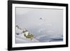 Backcountry Skier Chris Smith Paints His Line On The Northface Of Lake Peak, Wasatch Mts, Utah-Louis Arevalo-Framed Photographic Print