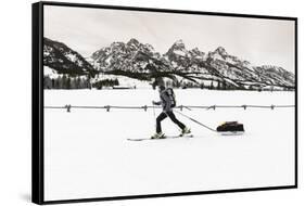 Backcountry skier under the Tetons, Grand Teton National Park, Wyoming, USA-Russ Bishop-Framed Stretched Canvas
