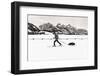 Backcountry skier under the Tetons, Grand Teton National Park, Wyoming, USA-Russ Bishop-Framed Premium Photographic Print