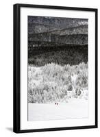 Backcountry Skiers on Mt. Tumalo in the Oregon Cascades-Bennett Barthelemy-Framed Photographic Print