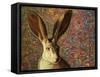 Background Noise-James W. Johnson-Framed Stretched Canvas
