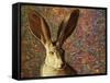 Background Noise-James W. Johnson-Framed Stretched Canvas