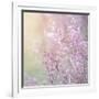 Background of Beautiful Lavender Color Flower Field-Anna Omelchenko-Framed Photographic Print