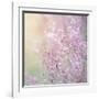 Background of Beautiful Lavender Color Flower Field-Anna Omelchenko-Framed Photographic Print