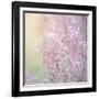 Background of Beautiful Lavender Color Flower Field-Anna Omelchenko-Framed Photographic Print