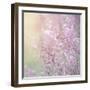 Background of Beautiful Lavender Color Flower Field-Anna Omelchenko-Framed Photographic Print