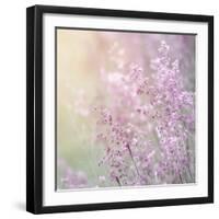 Background of Beautiful Lavender Color Flower Field-Anna Omelchenko-Framed Photographic Print