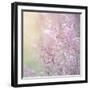 Background of Beautiful Lavender Color Flower Field-Anna Omelchenko-Framed Photographic Print