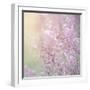 Background of Beautiful Lavender Color Flower Field-Anna Omelchenko-Framed Photographic Print