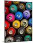 Background of Multi-Colored Containers for Paint-Yarygin-Mounted Photographic Print