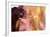 Background of Warm Colorful Abstract Painting-Kateryna Mostova-Framed Photographic Print