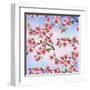 Background Pattern with Sakura Tree-silvionka-Framed Art Print