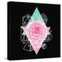 Background with Abstract Geometric Shapes and Flower-incomible-Stretched Canvas