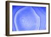 Background with Blue Agate Structure-Dr Alex-Framed Photographic Print