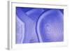 Background with Blue Agate Structure-Dr Alex-Framed Photographic Print