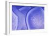 Background with Blue Agate Structure-Dr Alex-Framed Photographic Print